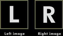 left_right.gif (2464 bytes)